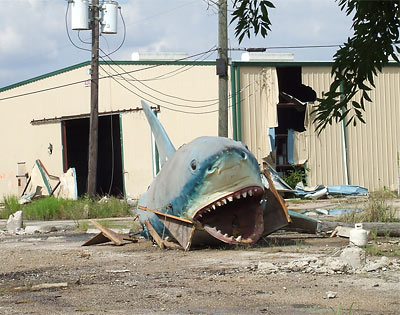 Shark at Demolition Site