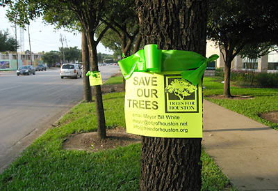 Green Ribbons on Kirby Dr. Trees