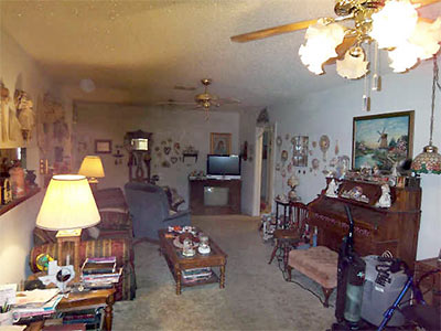 Living Room, 1317 Sue Barnett Dr., Garden Oaks, Houston