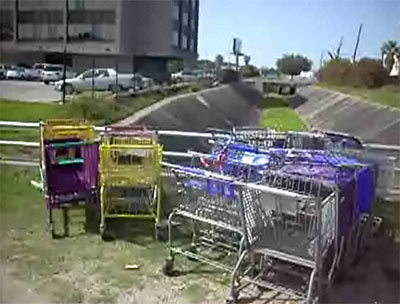 Bayou Shopping Carts