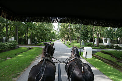View from Carriage along Briar Forest, Houston