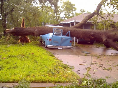 Van Crushed by Tree, Hurricane Ike, Houston