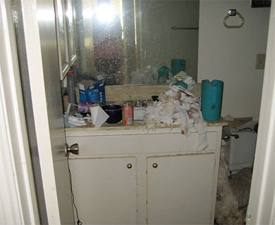 Bathroom of Extremely Messy Apartment in North Houston