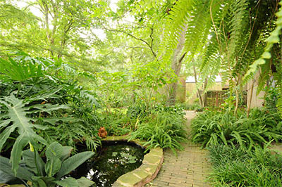 Garden off Master Bedroom, Neighborhood Guessing Game 24: 11312 Jamestown Rd., Piney Point Village, Houston