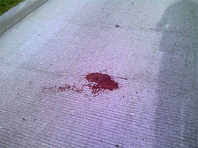 Blood on the I-10 Feeder Road, Houston