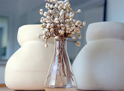 White Seeds of Chinese Tallow Tree in Vase