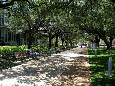 Live Oak Trees and Walkway at Discovery Green, Downtown Houston