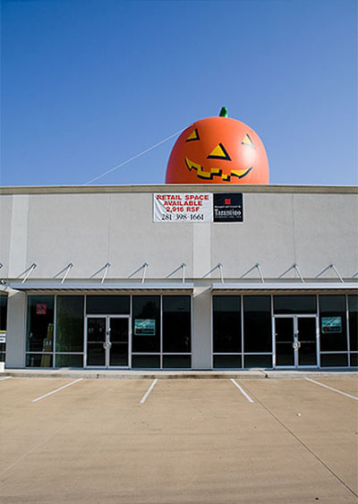Giant Pumpkin, Houston