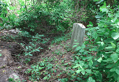 Gravestone and Ravine, Olivewood Cemetery, First and Sixth Wards, Houston