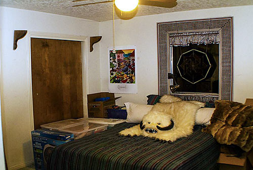 Bedroom, 1405 Plum Creek Dr., Spring Hills, Spring, Texas