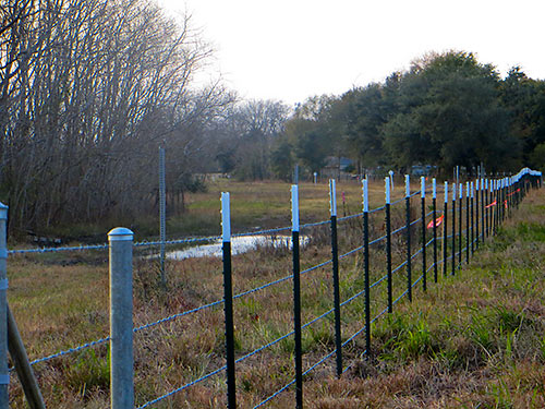 Barbed Wire Fencing Surrounding Willow Waterhole Stormwater Detention Basin Prairie Conservation Area, Southwest Houston