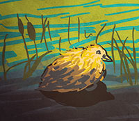 Drawing of Duck in Polluted Waters