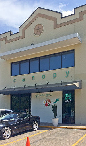Improvised Entrance to Canopy Restaurant, 3939 Montrose Blvd., Montrose, Houston