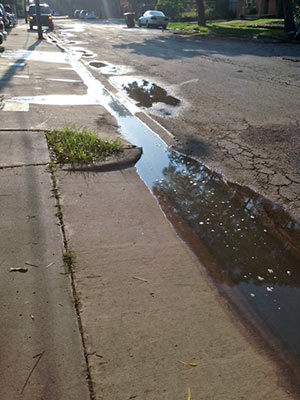 Raw Sewage Draining onto Colquitt St., Montrose, Houston