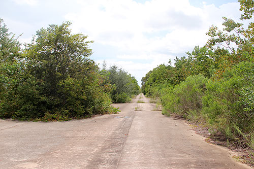 Area Surrounding Former Brio Superfund Site, Dixie Farm Rd. at Beamer Rd., Southbend Subdivision, Friendswood, Houston