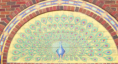 peacock-apartments-mosaic-1414-austin