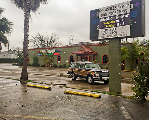 K9 Angels Animal Rescue, Former Hollywood Vietnamese and Chinese Restaurant, 2409 Montrose Blvd., Montrose, Houston