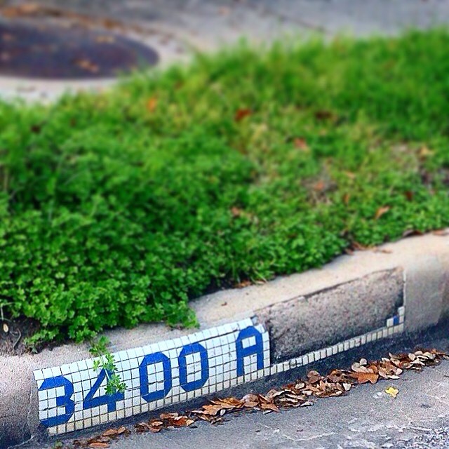 Blue Tile Curb Street Signs, Houston
