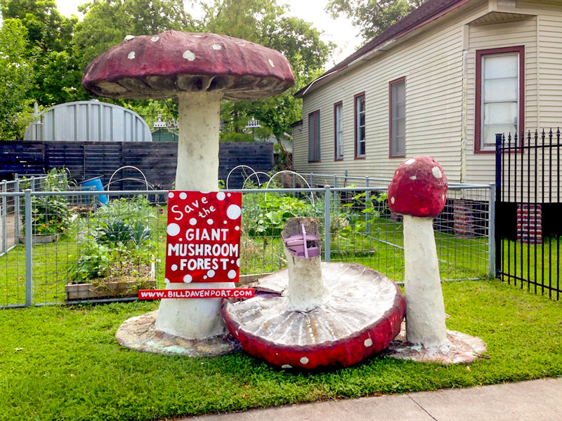 Giant Mushroom Forest, 1236 Studewood St., Houston Heights, Houston, 77008