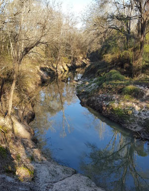 West Fork of San Jacinto River, Montgomery County, TX  